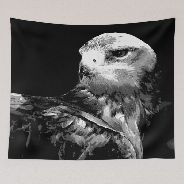 Item preview, Black and White Bird of Prey - Hawk  designed and sold by KingdomWildlife.