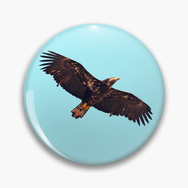Item preview, Flying Hawk  designed and sold by KingdomWildlife.