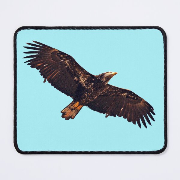 Item preview, Flying Hawk designed and sold by KingdomWildlife.