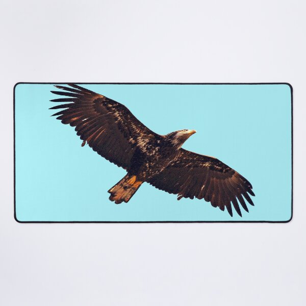 Item preview, Flying Hawk  designed and sold by KingdomWildlife.
