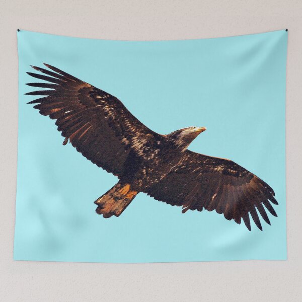 Item preview, Flying Hawk  designed and sold by KingdomWildlife.