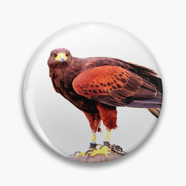 Item preview, Red Hawk  designed and sold by KingdomWildlife.