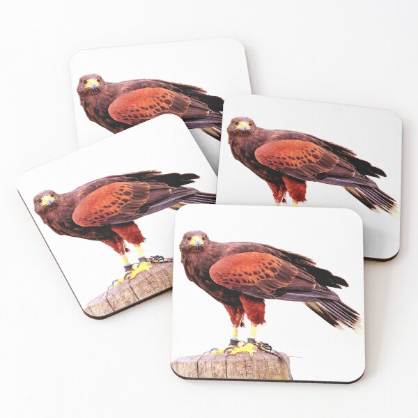 Item preview, Red Hawk  designed and sold by KingdomWildlife.