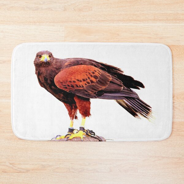 Item preview, Red Hawk  designed and sold by KingdomWildlife.