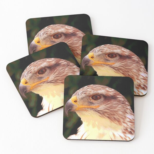 Item preview, Hawk  designed and sold by KingdomWildlife.