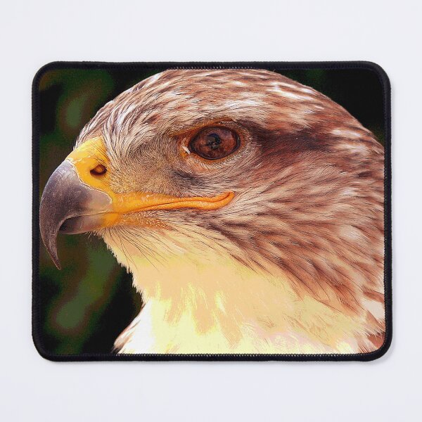 Item preview, Hawk designed and sold by KingdomWildlife.