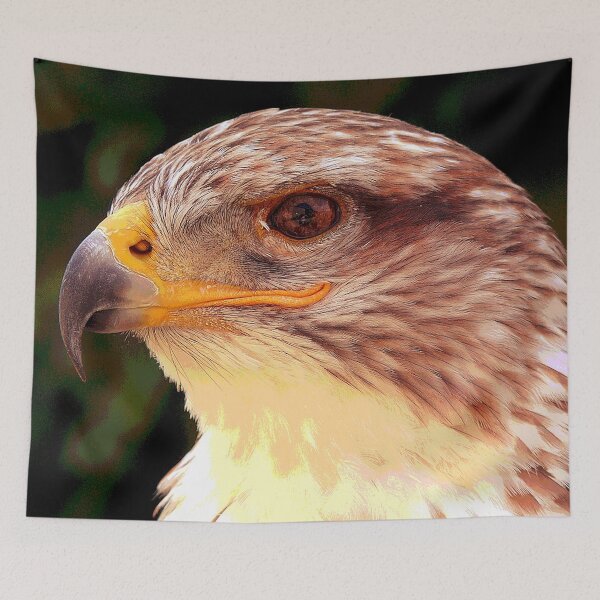 Item preview, Hawk  designed and sold by KingdomWildlife.