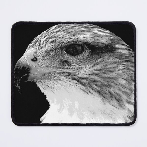 Item preview, Black and White Hawk  designed and sold by KingdomWildlife.