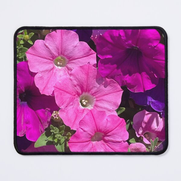 Item preview, Petunias designed and sold by AnnasFloristry.