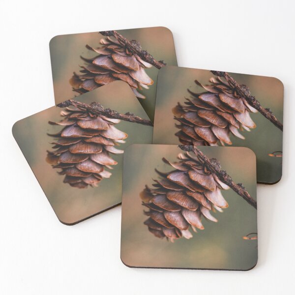 Item preview, Pinecone Photograph designed and sold by blerpybatmanbro.