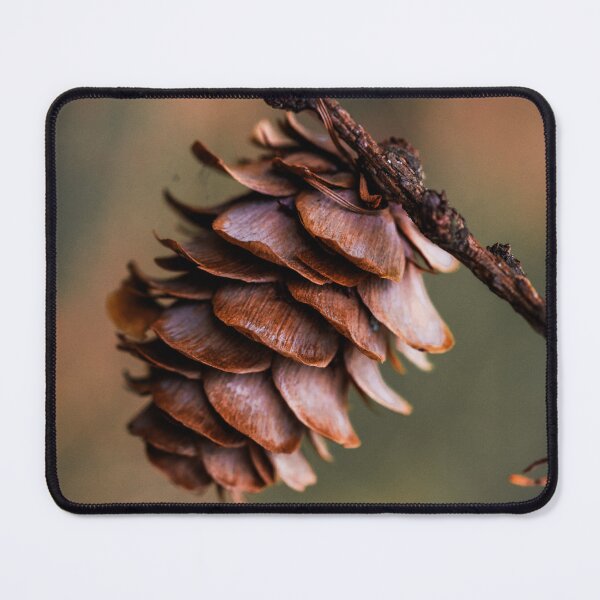 Item preview, Pinecone Photograph designed and sold by blerpybatmanbro.