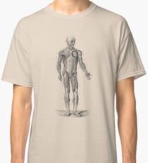 Human Muscle System - Vintage Anatomy Classic T-Shirt