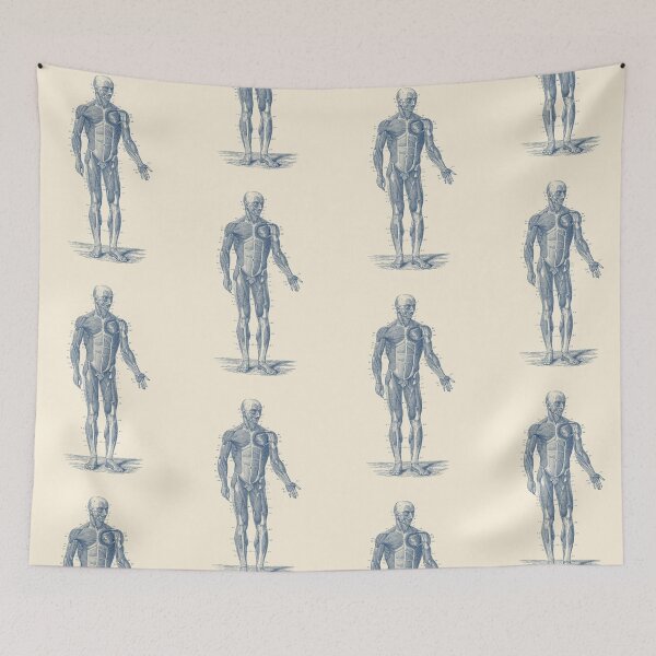 Item preview, Human Muscle System - Vintage Anatomy designed and sold by VAposters.