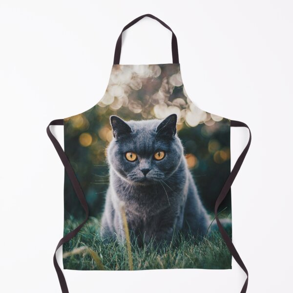 Item preview, British Shorthair Cat Photo designed and sold by TheAnimalZ00.