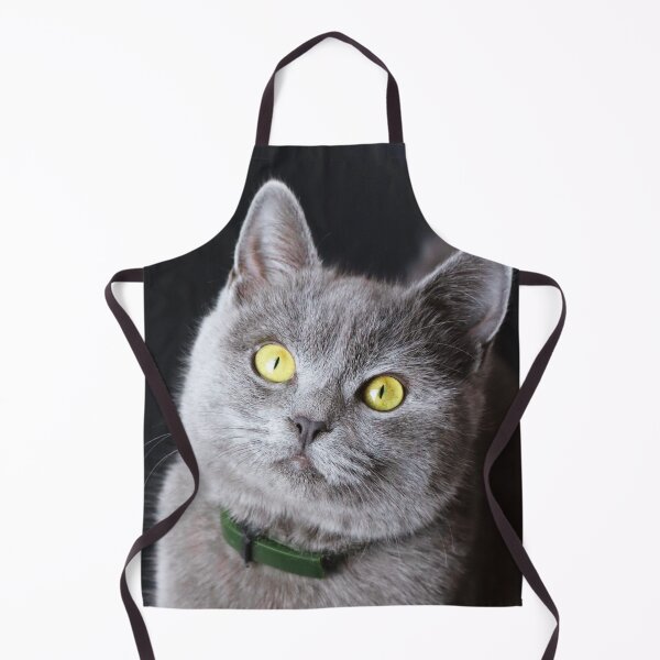 Item preview, British Shorthair Kitten designed and sold by TheAnimalZ00.