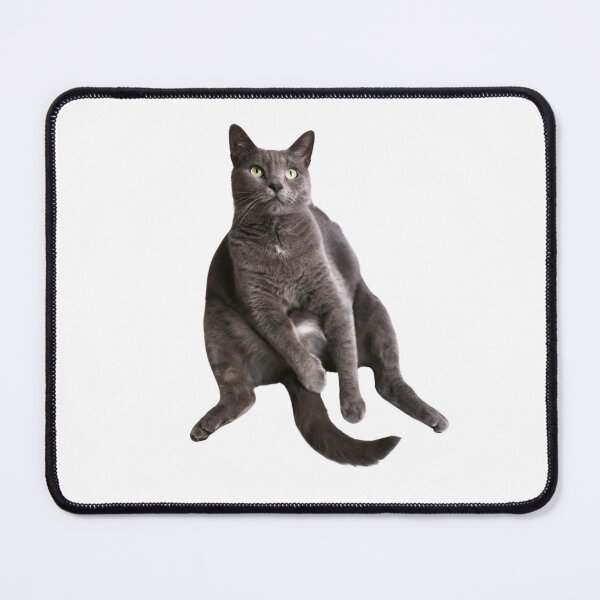 Item preview, Funny British Shorthair Cat designed and sold by TheAnimalZ00.