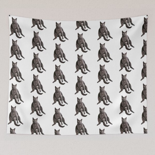 Item preview, Funny British Shorthair Cat designed and sold by TheAnimalZ00.