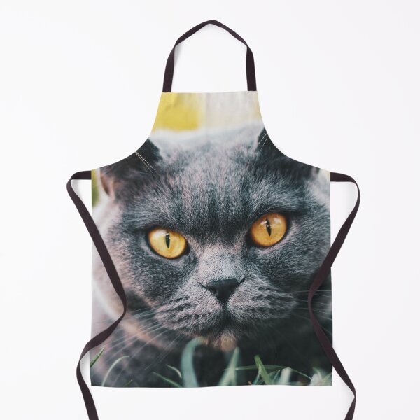 Item preview, Cute British Shorthair Photo designed and sold by TheAnimalZ00.