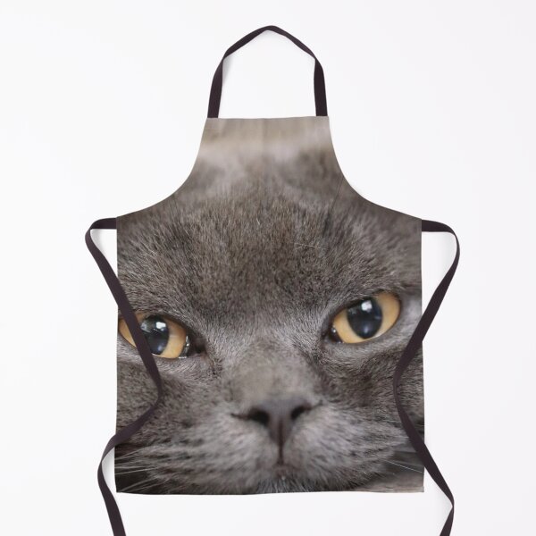 Item preview, Cute British Shorthair Photo designed and sold by TheAnimalZ00.