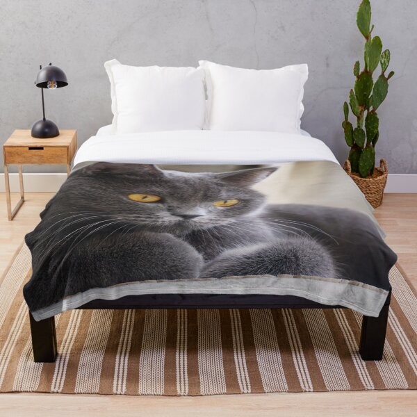 Item preview, British Shorthair Cat designed and sold by TheAnimalZ00.