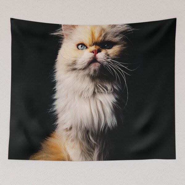 Item preview, Persian Cat Photo designed and sold by TheAnimalZ00.