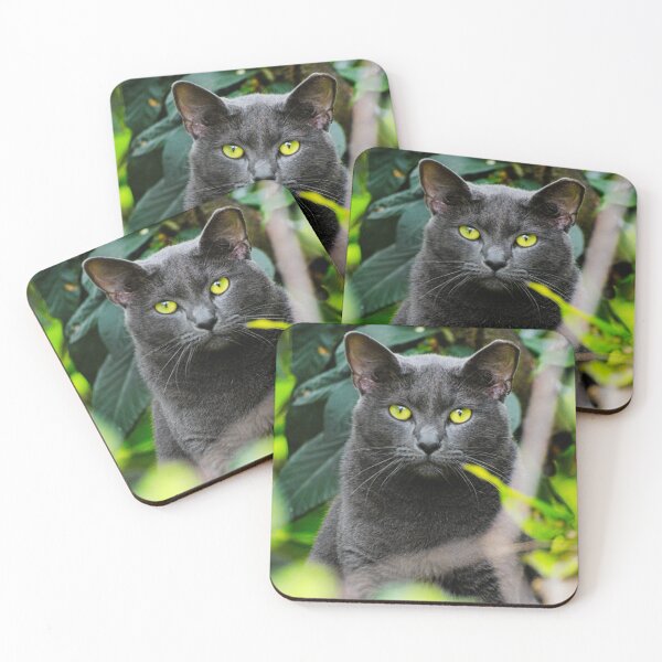 Item preview, Russian Blue Cat Photo designed and sold by TheAnimalZ00.