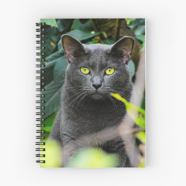 Item preview, Russian Blue Cat Photo designed and sold by TheAnimalZ00.