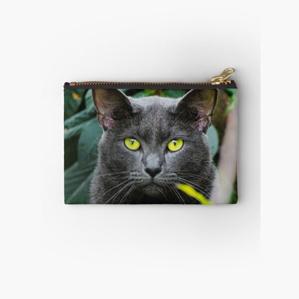 Item preview, Russian Blue Cat Photo designed and sold by TheAnimalZ00.