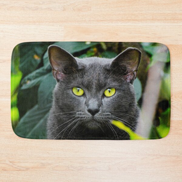 Item preview, Russian Blue Cat Photo designed and sold by TheAnimalZ00.