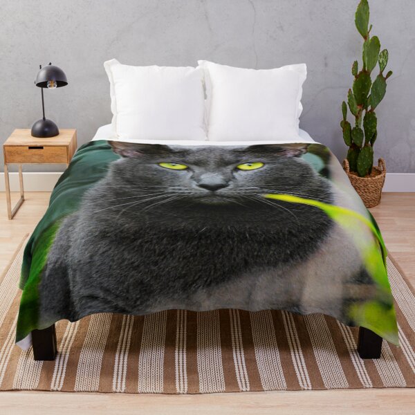 Item preview, Russian Blue Cat Photo designed and sold by TheAnimalZ00.