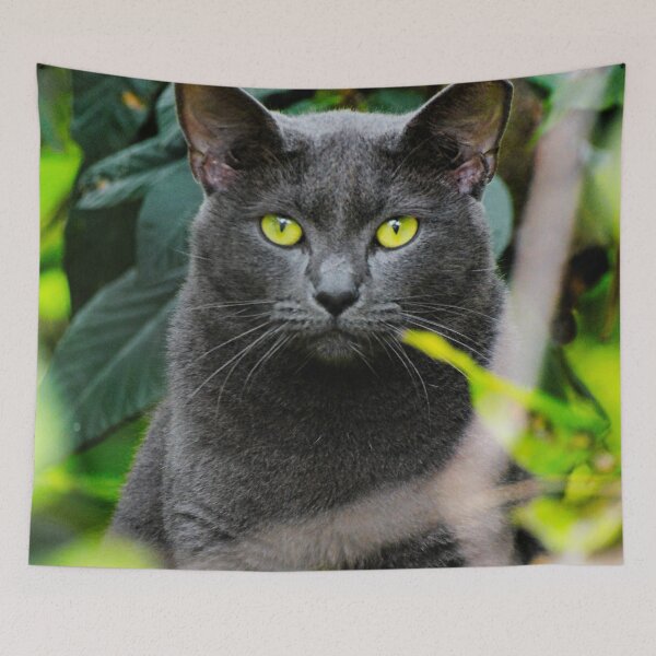 Item preview, Russian Blue Cat Photo designed and sold by TheAnimalZ00.
