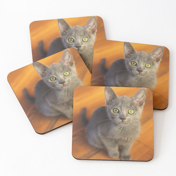 Item preview, Russian Blue Kitten designed and sold by TheAnimalZ00.