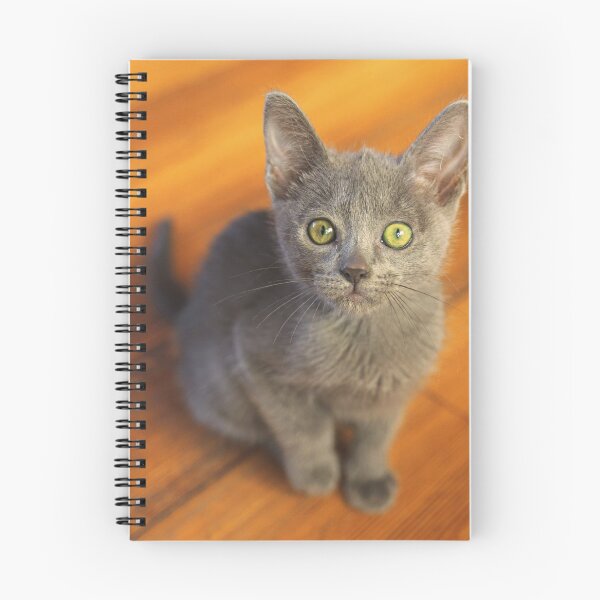 Item preview, Russian Blue Kitten designed and sold by TheAnimalZ00.