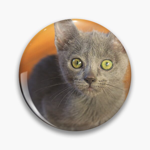 Item preview, Russian Blue Kitten designed and sold by TheAnimalZ00.
