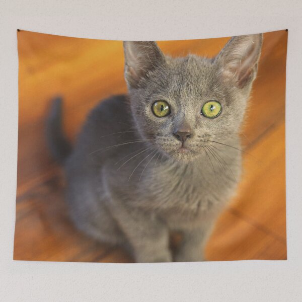 Item preview, Russian Blue Kitten designed and sold by TheAnimalZ00.
