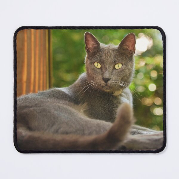 Item preview, Russian Blue Cat designed and sold by TheAnimalZ00.