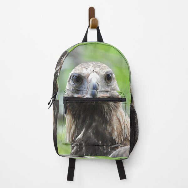 Item preview, Wedge-tail Eagle just after eating designed and sold by Mark Grimsley.