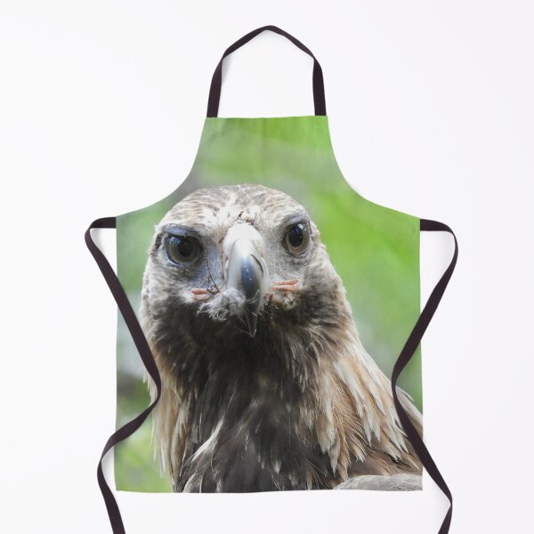Item preview, Wedge-tail Eagle just after eating designed and sold by Mark Grimsley.