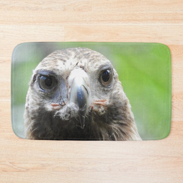 Item preview, Wedge-tail Eagle just after eating designed and sold by Mark Grimsley.