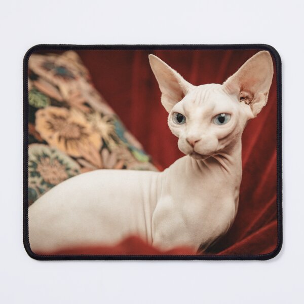 Item preview, Sphynx Cat Photo designed and sold by TheAnimalZ00.