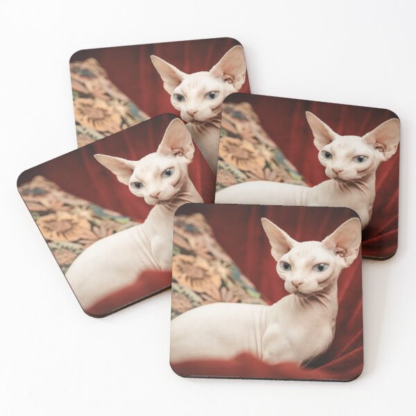 Artikelvorschau, Sphynx-Katzenfoto entworfen und verkauft von TheAnimalZ00.