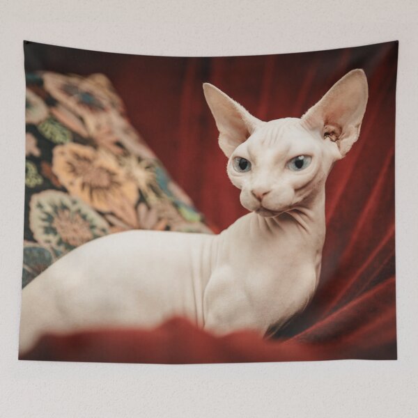 Item preview, Sphynx Cat Photo designed and sold by TheAnimalZ00.