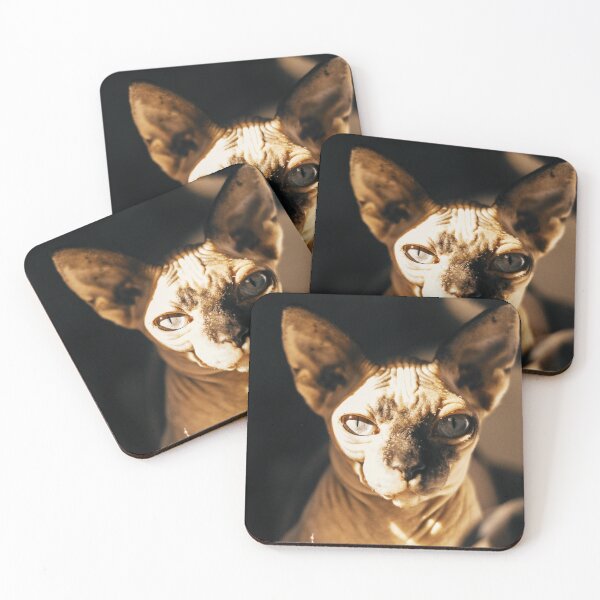 Item preview, Sphynx Cat designed and sold by TheAnimalZ00.