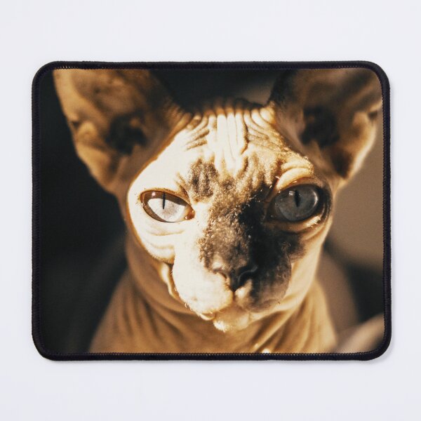 Item preview, Gato Sphynx designed and sold by TheAnimalZ00.