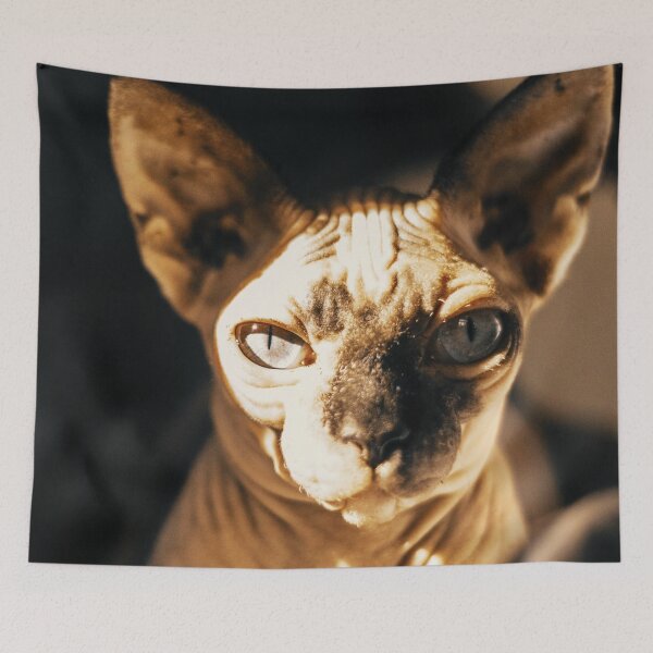 Item preview, Sphynx Cat designed and sold by TheAnimalZ00.