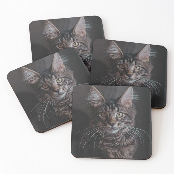 Item preview, Maine Coon Cat Photo designed and sold by TheAnimalZ00.
