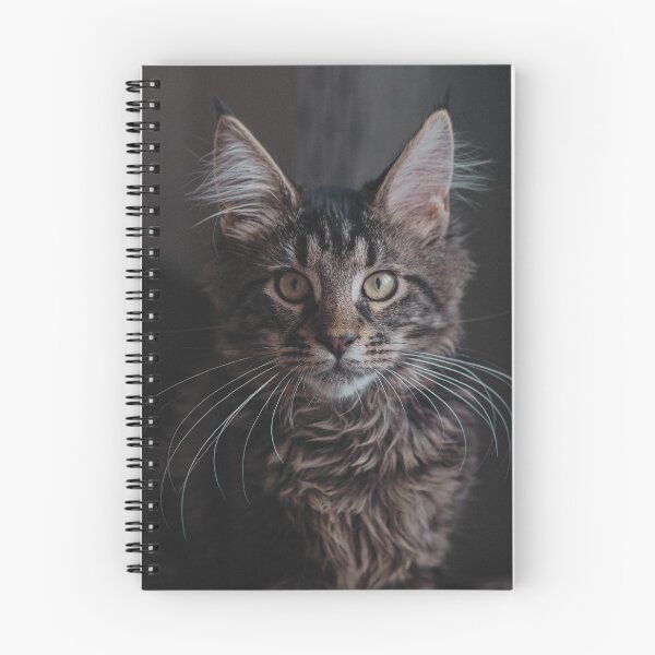 Item preview, Maine Coon Cat Photo designed and sold by TheAnimalZ00.