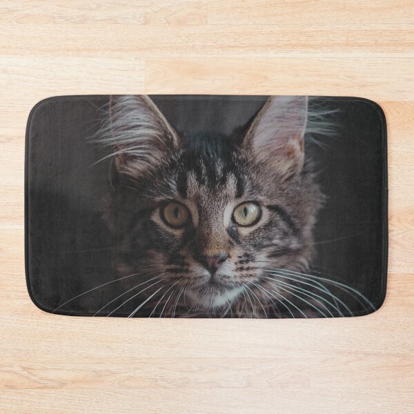 Item preview, Maine Coon Cat Photo designed and sold by TheAnimalZ00.