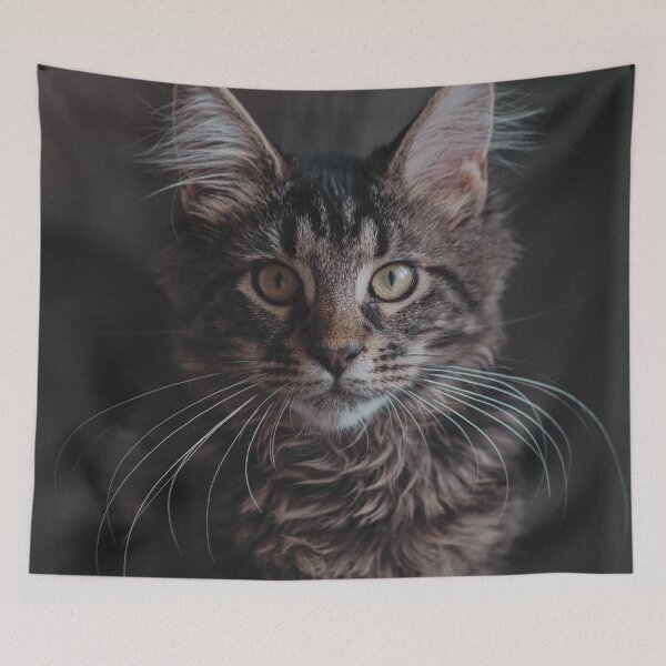 Item preview, Maine Coon Cat Photo designed and sold by TheAnimalZ00.