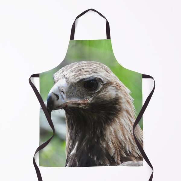 Item preview, Wedge-tail Eagle Austraila's largest bird of prey designed and sold by Mark Grimsley.